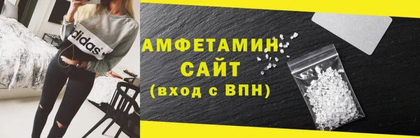 гидра Аркадак