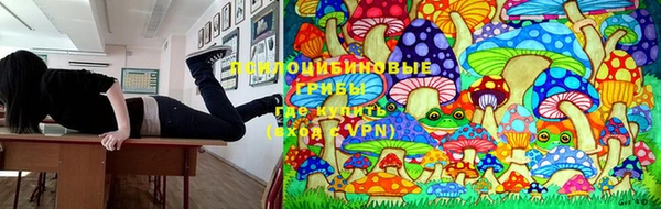 гидра Аркадак