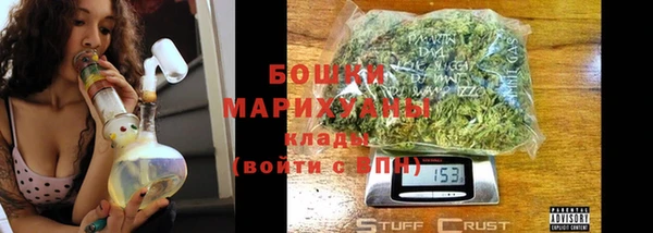 гидра Аркадак