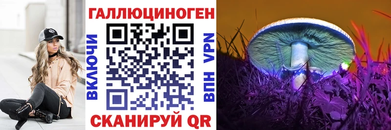 Купить где  Сергач  Псилоцибиновые грибы мицелий 